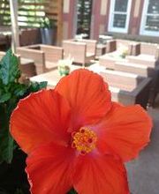 J. Gilbert's Wood-Fired Steaks & Seafood Kansas City image 2