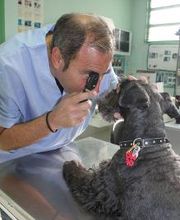 Argos Clínica Veterinaria imagen 2
