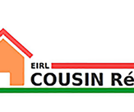 Cousin Remi image 5