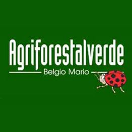 Agriforestalverde logo