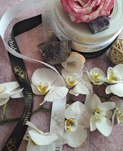 JB orchids imagen 12