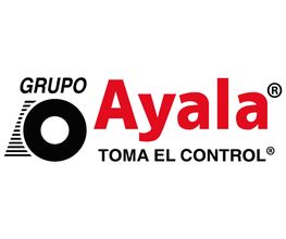 Michelin Car Service Grupo Ayala Navarrete imagen 3