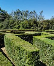 Alex Paysage image 4