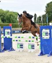 Ecuries des Tourelles image 8