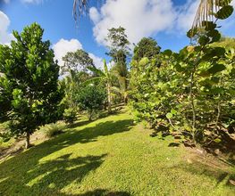 Serva Dom Guadeloupe image 3