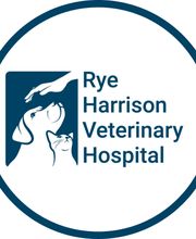 Rye Harrison Veterinary Hospital image 18