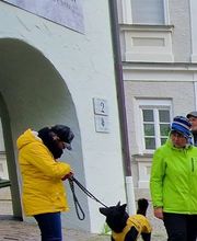 Sitz Platz Komm Hundeschule Marion Hans Bild 10