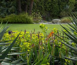 Art & Giardini Sagl Bild 6