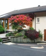 Chatelain Paysages SARL image 9