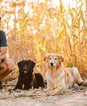 Martin Rütter Wil / St.Gallen & Thurgau Bild 3