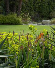 Art & Giardini Sagl Bild 6