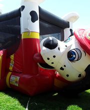 Parkwood Animal Hospital & Boarding image 20