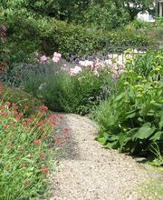 Hatt Gartenbau Bild 6