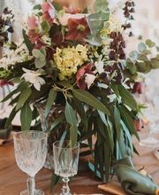 Pivoine fleuriste image 5