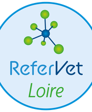 ReferVet Loire image 9