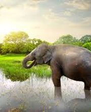 Hertig Reisen AG Bild 1