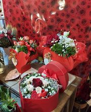 Gallery Cliente