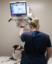 Aspen Creek Veterinary Clinic image 12