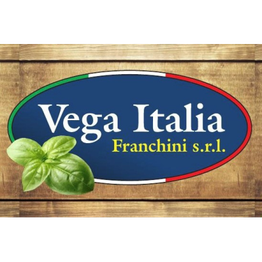 Vega Italia Franchini logo