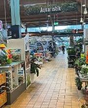 HORNBACH Gartencenter Potsdam Bild 5