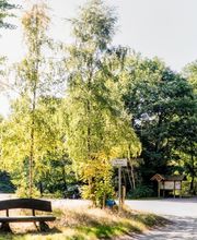 FriedWald Hasbruch Bild 11