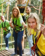 Atout Branches image 3