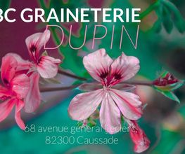 Jardinerie Dupin image 16