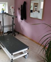Bine's Hundestyling Bild 2