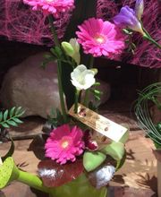 A Fleur De Pot image 5