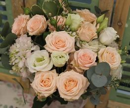 Blumen Baccara Ingolstadt Bild 7