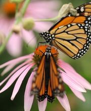 Walter & Karin Käch AG Bild 1