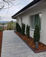 BRÜHWILER-GARTENBAU, BAUMPFLEGE Bild 12