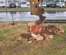 Tallet Et Fils image 6