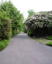 Gartenpflege von repräsentativen Objekten
