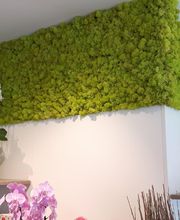 Franzen Moos Wanddesign Bild 6