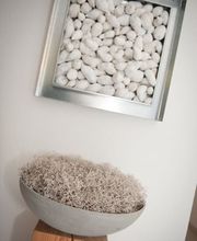 Dr. med. Graf Bernhard Bild 8