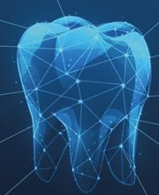 die Zahntechniker Bild 2