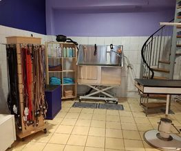 Espace canin image 7