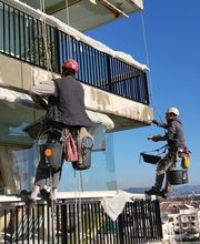 Spider Color image 1