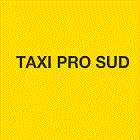TAXI PRO SUD