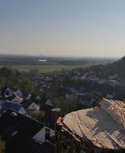 Baumdienste mit Seiltechnik Purretat Bild 10