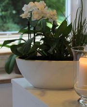 Ambiente im Boutique Hotel Rosengarten Hamburg