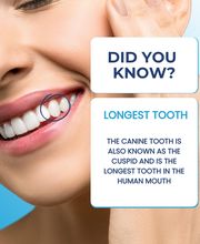 Northwest Dental Health & Aesthetics image 18