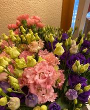 Fleur Evasion Sàrl Bild 4