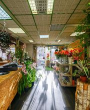 Brin De Nature image 3