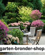 Garten Bronder Bild 4