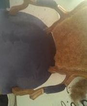 Raffier Brice image 4