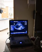 Belton Animal Clinic & Exotic Care Center image 7