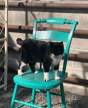 Dharma Massage & Wellness image 16