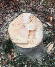 Winterhalterhof Bild 1